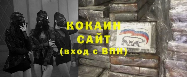 индика Верхний Тагил