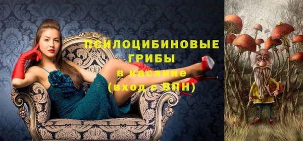 ECSTASY Волосово