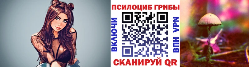 где продают   Выкса  Галлюциногенные грибы прущие грибы 